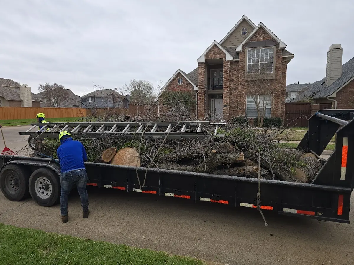 Expert Tree Fertilization with proper safety equipment in Boynton